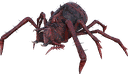 蜘蛛