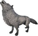 恐狼