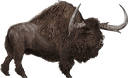 巨型野牛