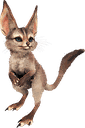 跳鼠