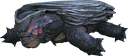 岛龟