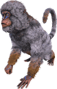 中猴