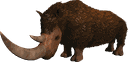 披毛犀