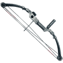 Compound Bow