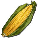 玉米