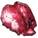 羽暴龙之肺